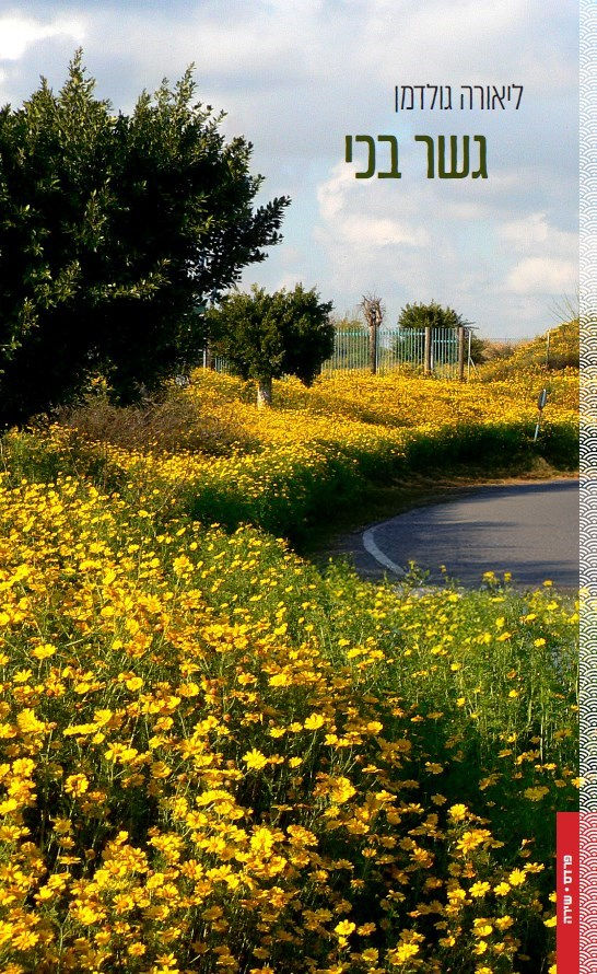 כריכת הספר גשר בכי מאת ליאורה גולדמן