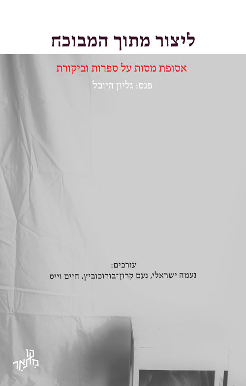 כריכת הספר ליצור מתוך המבוכה מאת מספר כותבים