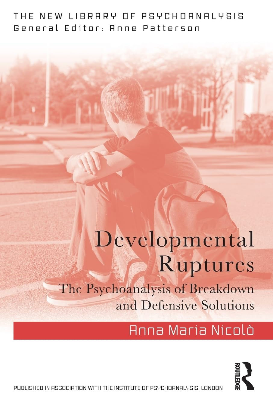 cover of Developmental Ruptures by Anna Maria Nicolò