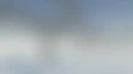 גשר בריכת נוי