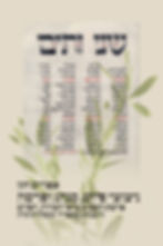כריכת הספר ניצוצי פיוט, מנהג ופרשה מאת אפרים חזן
