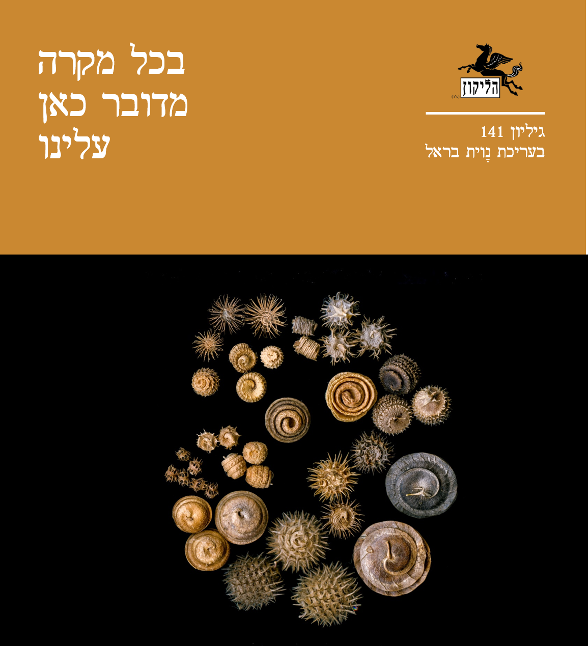 כריכת הליקון 141 - בכל מקרה מדובר כאן עלינו בעריכת נוית בראל