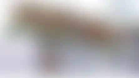 גשר צנרת