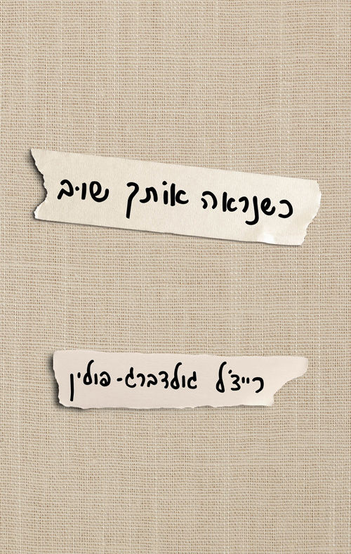 כריכת הספר כשנראה אותך שוב מאת רייצ'ל גולדברג-פולין