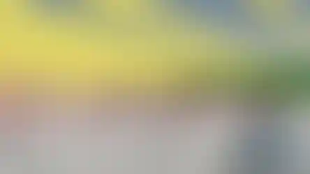 גג פלדה ישיבת הסדר בני עקיבא