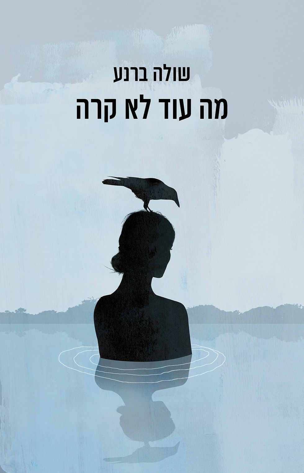 כריכת הספר מה עוד לא קרה מאת שולה ברנעי