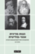 כריכת הספר הגות מדינית אנטי פוליטית מאת מנחם רצון