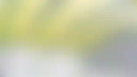 שיבולת בית שמש