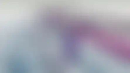 גשר בריכת נוי