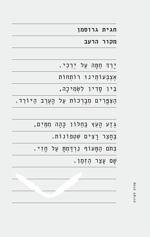 כריכת הספר מקור הרעב מאת חגית גרוסמן