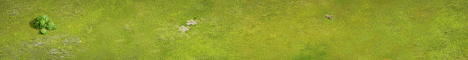 elven gold.gif
