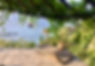image00009.jpeg