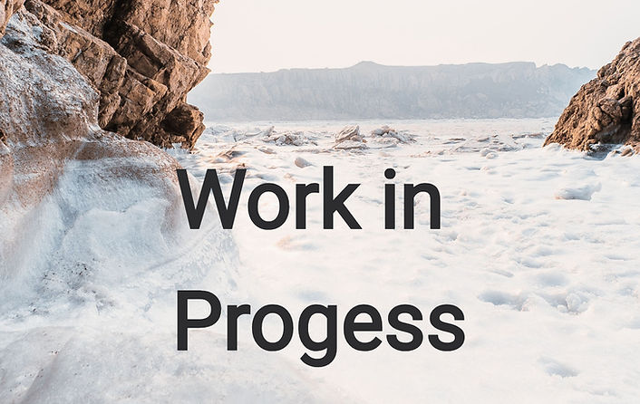 yiranding-yOWUAKYk46Y-unsplash%2520copy_
