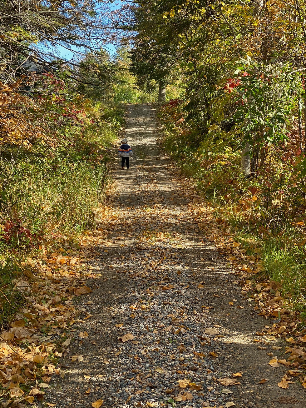 Child walking up a colorful fall trail at Kitchi Landing Resort in northern Minnesota, surrounded by