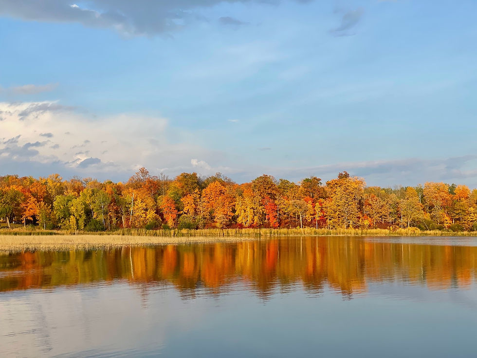 Brilliant fall foliage reflected on the calm waters of Kitchi Lake near Cass Lake, Minnesota—capture