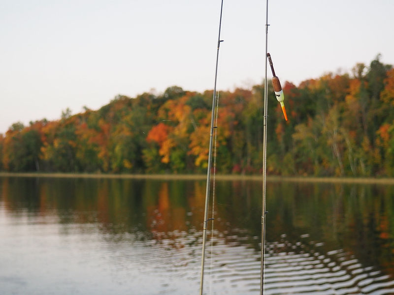 Fishing rods on Kitchi Lake with fall foliage reflecting on the water—capturing the peaceful Northwoods setting near Cass Lake at Kitchi Landing Resort.