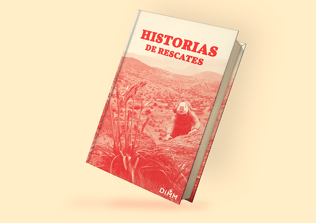 libro 2.png