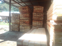 78812322_554475202015161_356716582476447