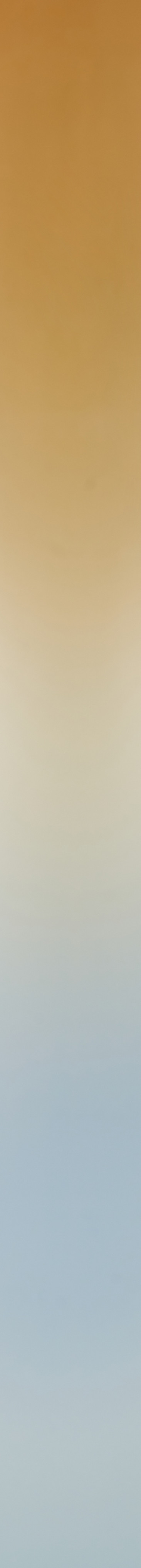Image (4).jpeg
