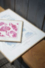 Miniature : Encadré - Rose fuchsia - 20x20