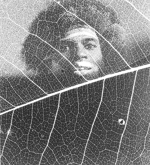 B011-N-011