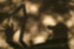 shadow rail