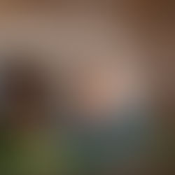 Embracing the pillars of wellness at Villa Milagro - MOVEMENT