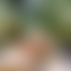 The Sounds of Silence: How Villa Milagro Redefines Luxury