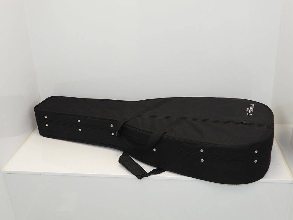 Thumbnail: SCD Guitar Case