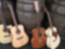 Freshman 20th Anniversary Series Guitars