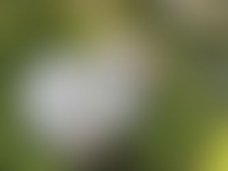Impuls: Herzkraft