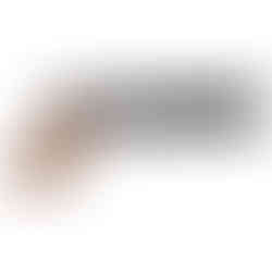 Reximex Mito Orange Laminate PCP Air Pistol