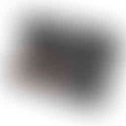 Air rifle in MegaLine case