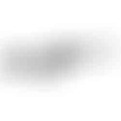 Reximex Morpho CO2 Pistol Carbine Air Gun