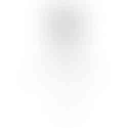 Rifle mounted on a tripod shooting rest