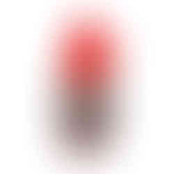 UMAREX Steel 4.5mm BBs (x1500) in bottle