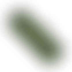 Green hard rifle case with two handles