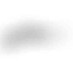 Snowpeak PR900 Gen 2 PCP air rifle kit with scope