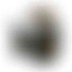 Self-adhesive shooting targets roll