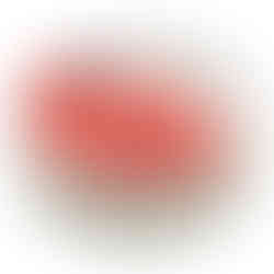 Exact RS Diabolo airgun pellets tin