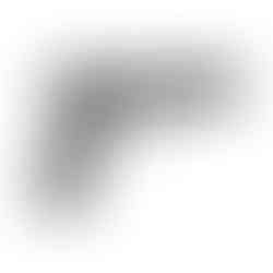 ASG CZ P-09 Duty CO2 Blowback Air Pistol