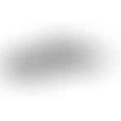 Walther Reign M2 Bullpup Air Rifle - UMAREX's Best Airgun