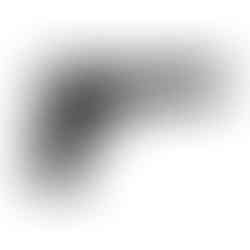 UMAREX Colt Government 1911 A1 CO2 pellet pistol