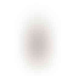 ASG BLASTER Plastic 4.5mm BB (x1000)