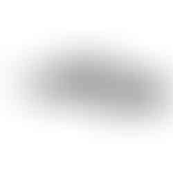 Walther Reign M2 Bullpup Air Rifle - UMAREX's Best Airgun