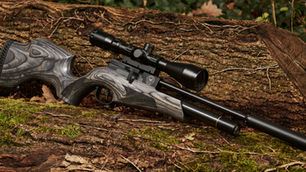 Future Classic Airguns?