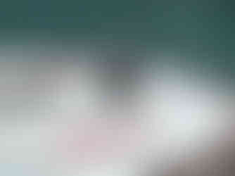 JTS Dead Center 8.7gr .177 Pellets Profile and shape being shown in a macro photo of the pellet standing on its tin