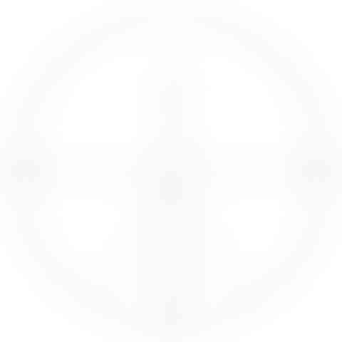 Rifle scope reticle with markings