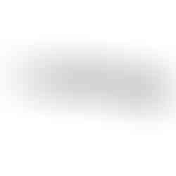 BSA R12 CLX Pro air rifle with black pepper laminate stock