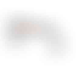 Airgun Challenge Target by Tom's Targets